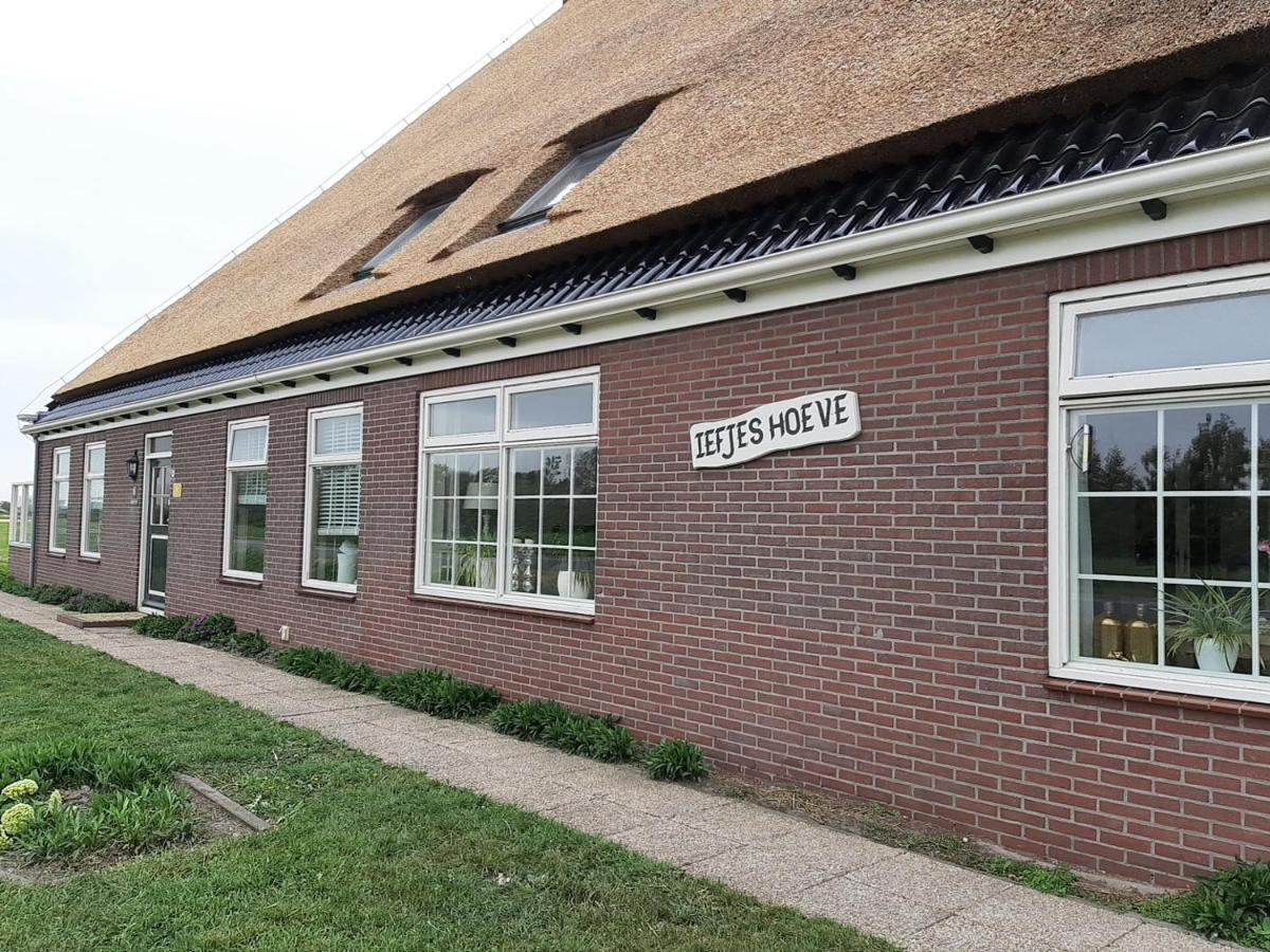 Iefjeshoeve Petten Extérieur photo
